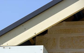 Brampton Street fascia repairs